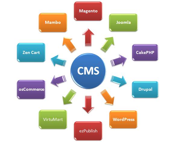 CMS web development